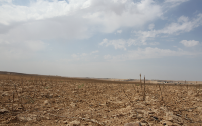 £15 Million Water Management Grant: Planning a Reservoir? RIG Can Support the Groundwork